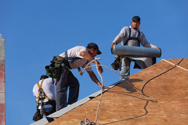 Best Roof Gutter Cleaning  in Hermann, MO